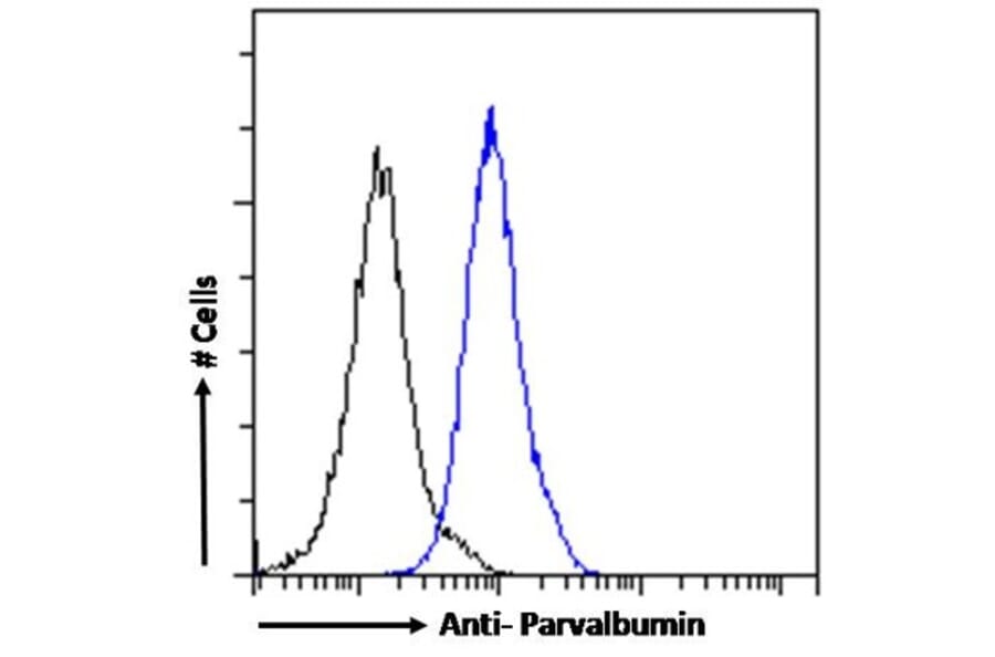 Flow Cytometry - Anti-Parvalbumin Antibody (A83606) - Antibodies.com