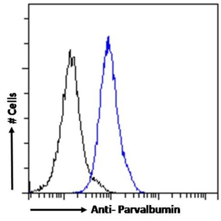 Flow Cytometry - Anti-Parvalbumin Antibody (A83606) - Antibodies.com