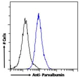 Flow Cytometry - Anti-Parvalbumin Antibody (A83606) - Antibodies.com