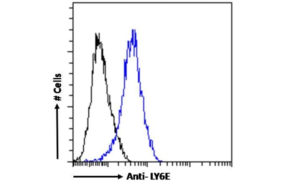 Flow Cytometry - Anti-LY6E/SCA-2 Antibody (A83609) - Antibodies.com