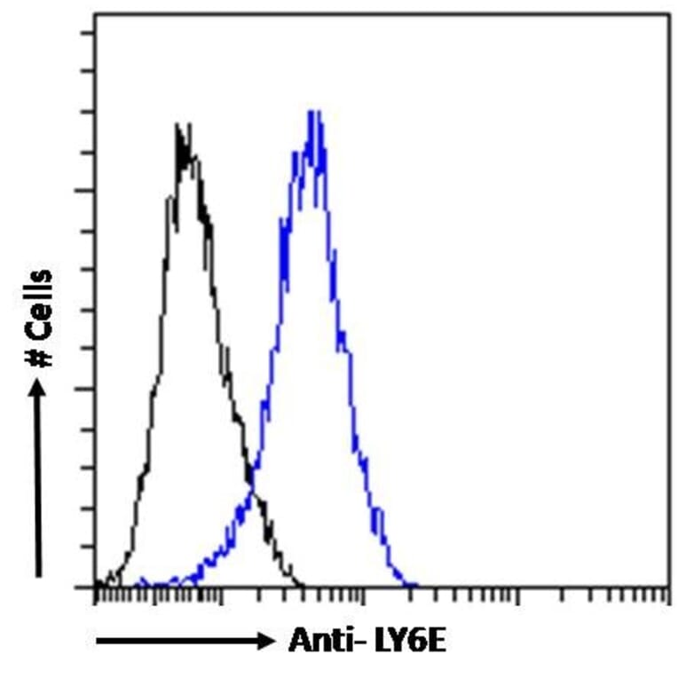 Flow Cytometry - Anti-LY6E/SCA-2 Antibody (A83609) - Antibodies.com