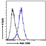 Flow Cytometry - Anti-LY6E/SCA-2 Antibody (A83609) - Antibodies.com