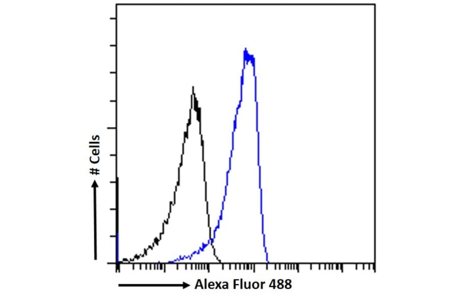 Flow Cytometry - Anti-Neuroserpin Antibody (A83659) - Antibodies.com