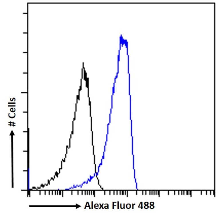 Flow Cytometry - Anti-Neuroserpin Antibody (A83659) - Antibodies.com