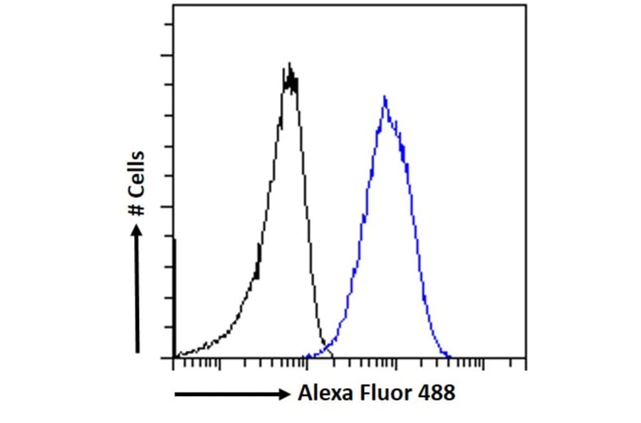 Flow Cytometry - Anti-RNF13 Antibody (A83667) - Antibodies.com