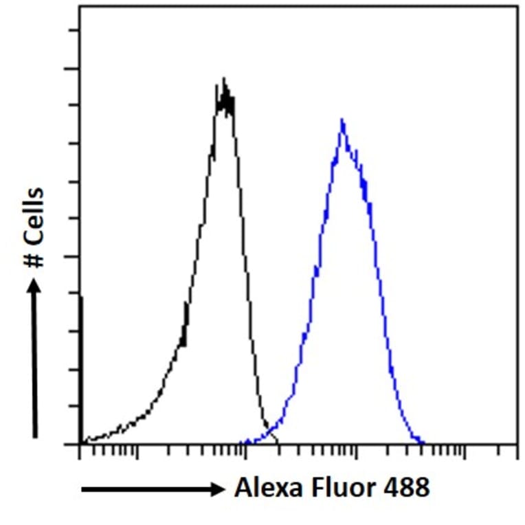 Flow Cytometry - Anti-RNF13 Antibody (A83667) - Antibodies.com