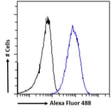 Flow Cytometry - Anti-RNF13 Antibody (A83667) - Antibodies.com