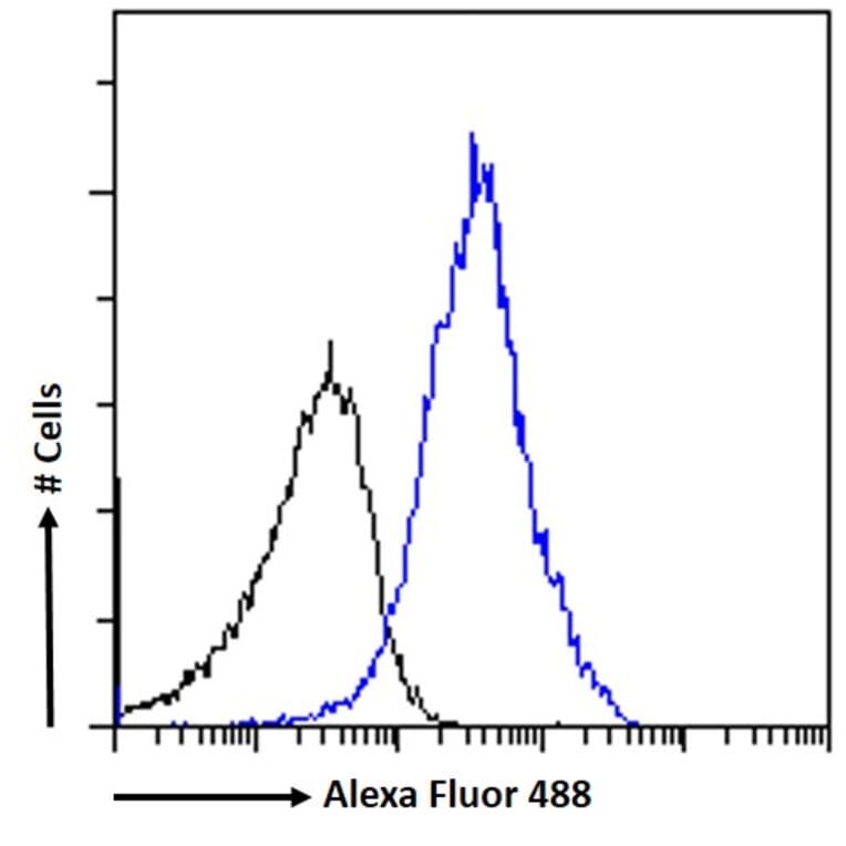 Flow Cytometry - Anti-SATB1 Antibody (A83671) - Antibodies.com