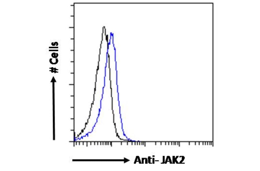 Flow Cytometry - Anti-JAK2 Antibody (A83691) - Antibodies.com