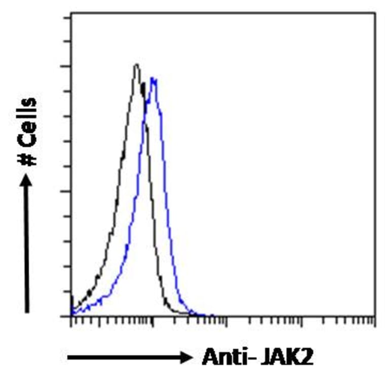 Flow Cytometry - Anti-JAK2 Antibody (A83691) - Antibodies.com