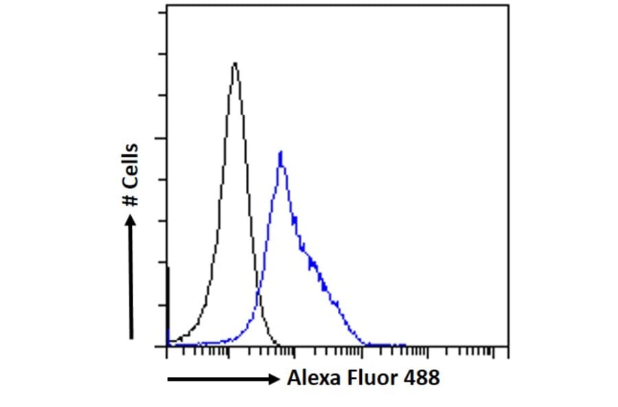 Flow Cytometry - Anti-ELMO2 Antibody (A83692) - Antibodies.com