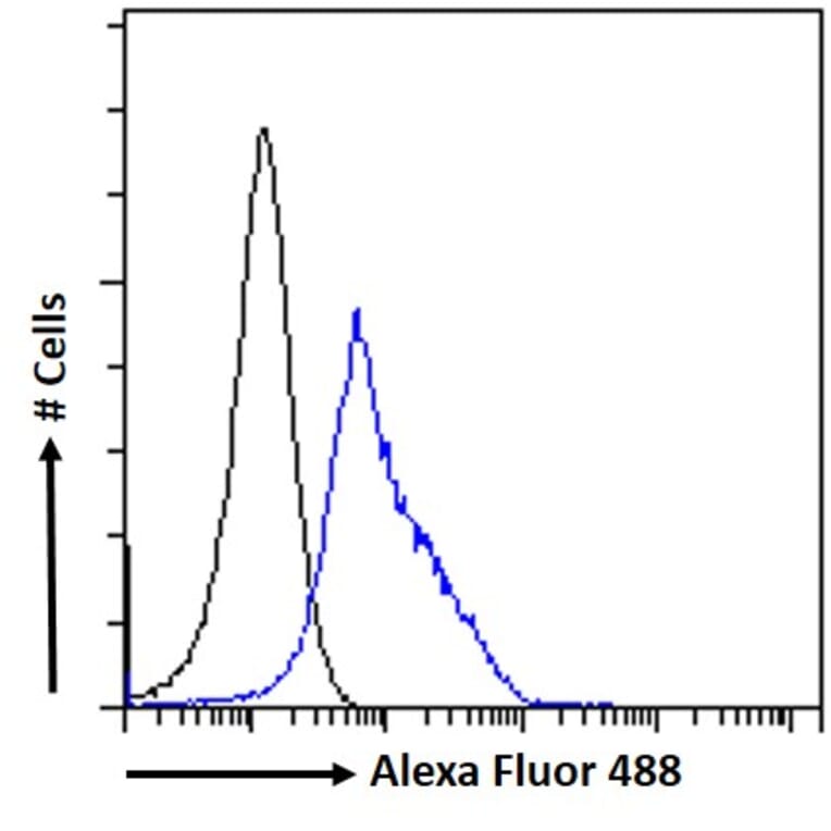 Flow Cytometry - Anti-ELMO2 Antibody (A83692) - Antibodies.com