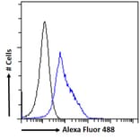 Flow Cytometry - Anti-ELMO2 Antibody (A83692) - Antibodies.com