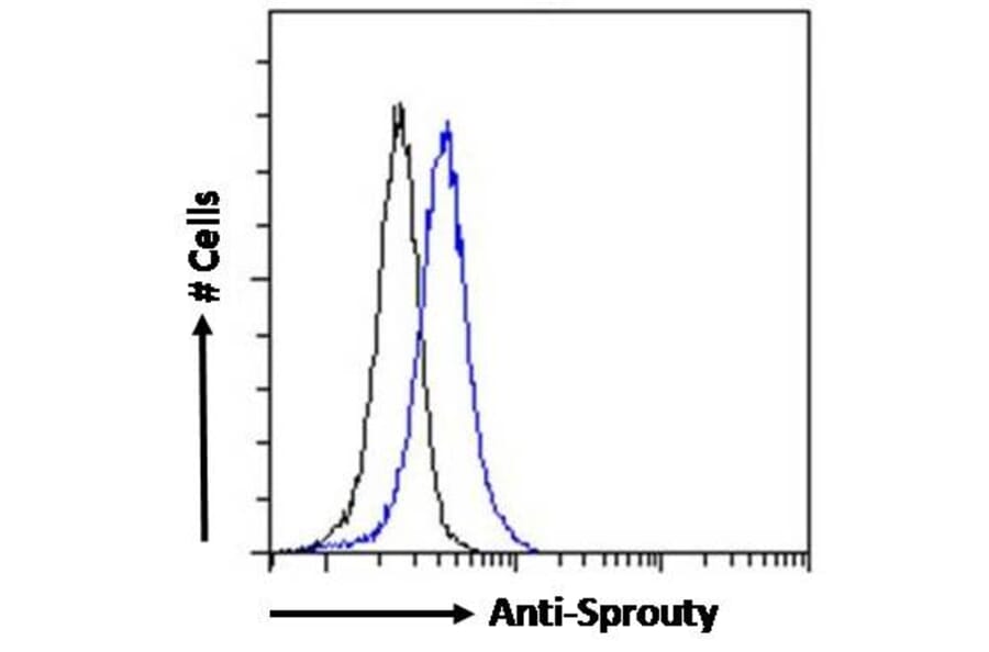 Flow Cytometry - Anti-SPRY1 Antibody (A83695) - Antibodies.com