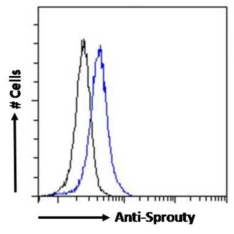 Flow Cytometry - Anti-SPRY1 Antibody (A83695) - Antibodies.com