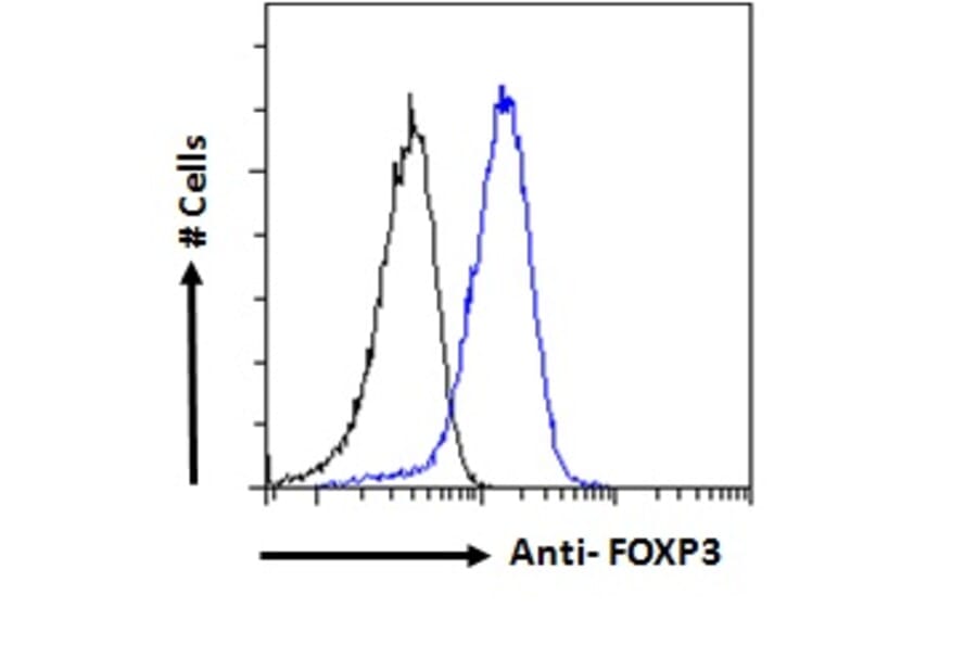 Flow Cytometry - Anti-FOXP3 Antibody (A83700) - Antibodies.com