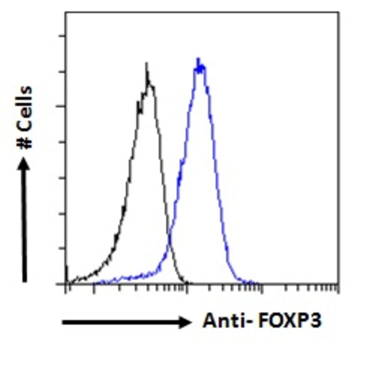 Flow Cytometry - Anti-FOXP3 Antibody (A83700) - Antibodies.com