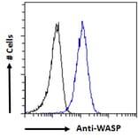 Flow Cytometry - Anti-WASP Antibody (A83705) - Antibodies.com