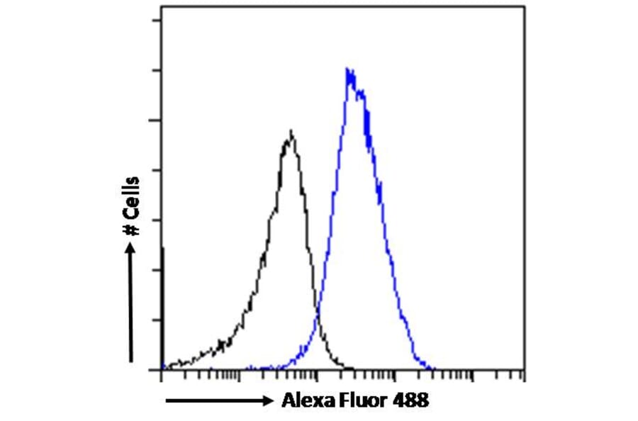 Flow Cytometry - Anti-HP1 gamma/CBX3 Antibody (A83707) - Antibodies.com