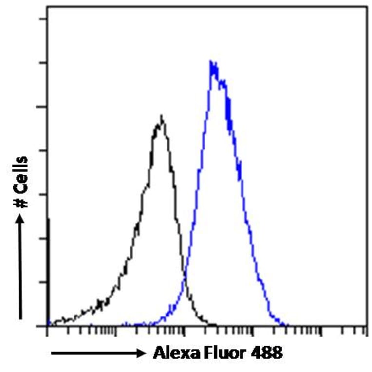 Flow Cytometry - Anti-HP1 gamma/CBX3 Antibody (A83707) - Antibodies.com