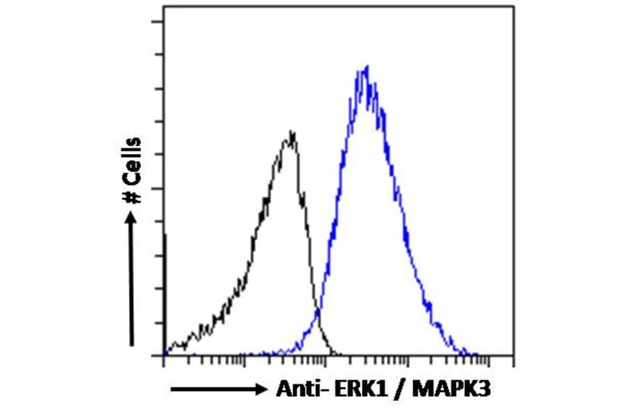 Flow Cytometry - Anti-ERK1 Antibody (A83709) - Antibodies.com