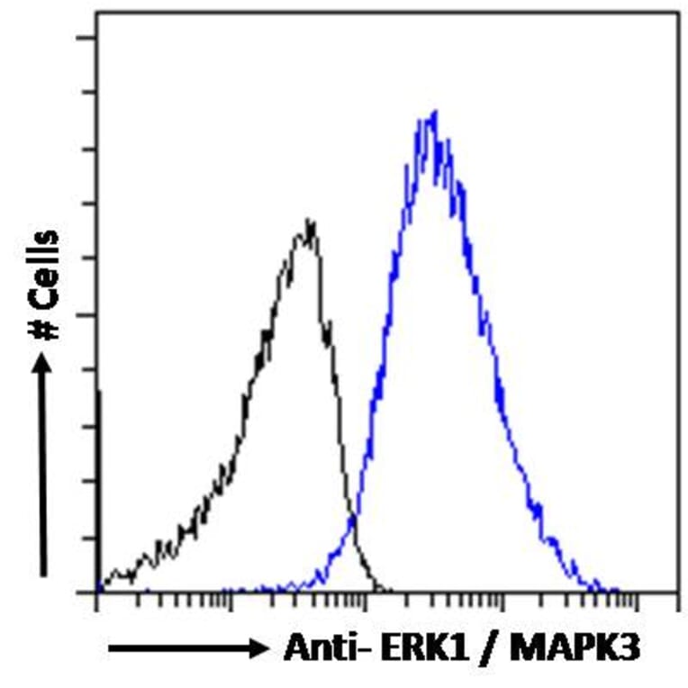 Flow Cytometry - Anti-ERK1 Antibody (A83709) - Antibodies.com