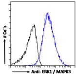 Flow Cytometry - Anti-ERK1 Antibody (A83709) - Antibodies.com