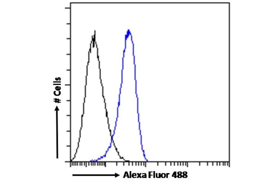 Flow Cytometry - Anti-STAM2 Antibody (A83713) - Antibodies.com