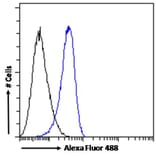 Flow Cytometry - Anti-STAM2 Antibody (A83713) - Antibodies.com