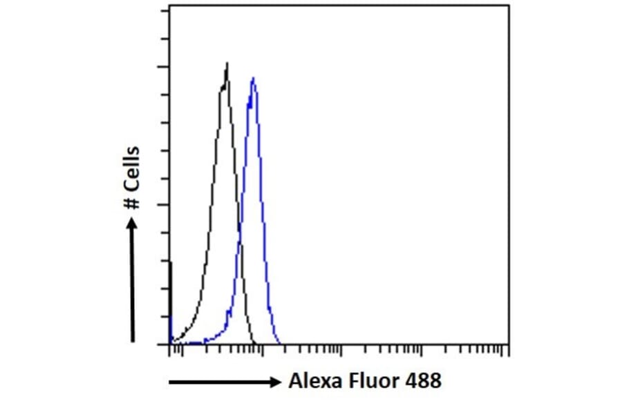 Flow Cytometry - Anti-STAM2 Antibody (A83713) - Antibodies.com