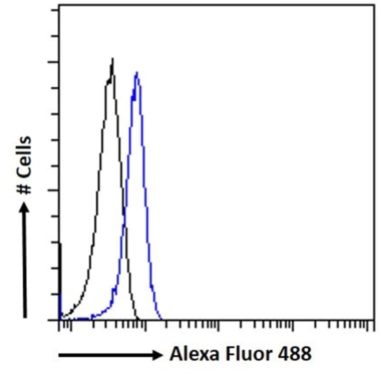 Flow Cytometry - Anti-STAM2 Antibody (A83713) - Antibodies.com