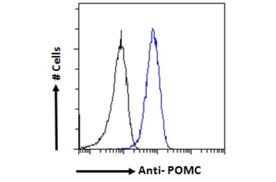 Flow Cytometry - Anti-POMC Antibody (A83735) - Antibodies.com