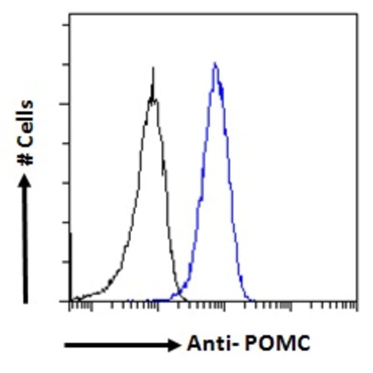 Flow Cytometry - Anti-POMC Antibody (A83735) - Antibodies.com