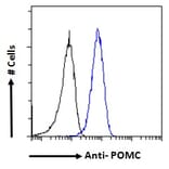Flow Cytometry - Anti-POMC Antibody (A83735) - Antibodies.com