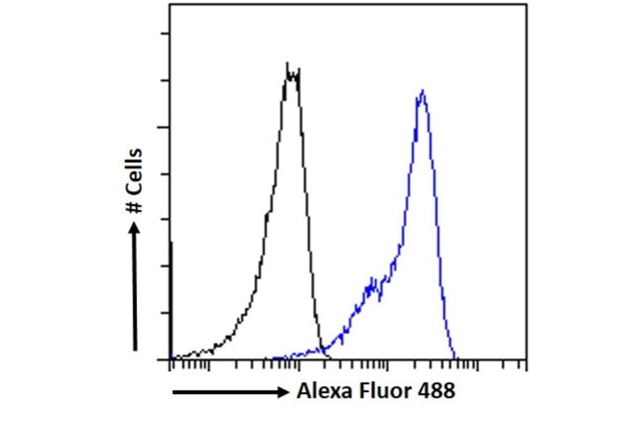 Flow Cytometry - Anti-Vitamin D Receptor Antibody (A83736) - Antibodies.com