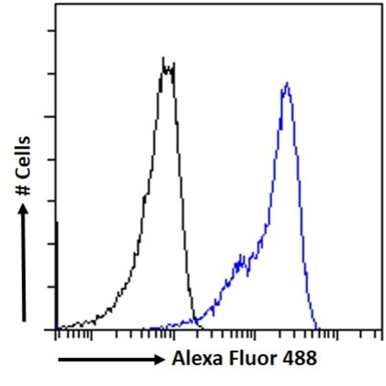 Flow Cytometry - Anti-Vitamin D Receptor Antibody (A83736) - Antibodies.com