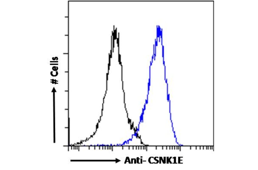Flow Cytometry - Anti-CK1 epsilon Antibody (A83740) - Antibodies.com
