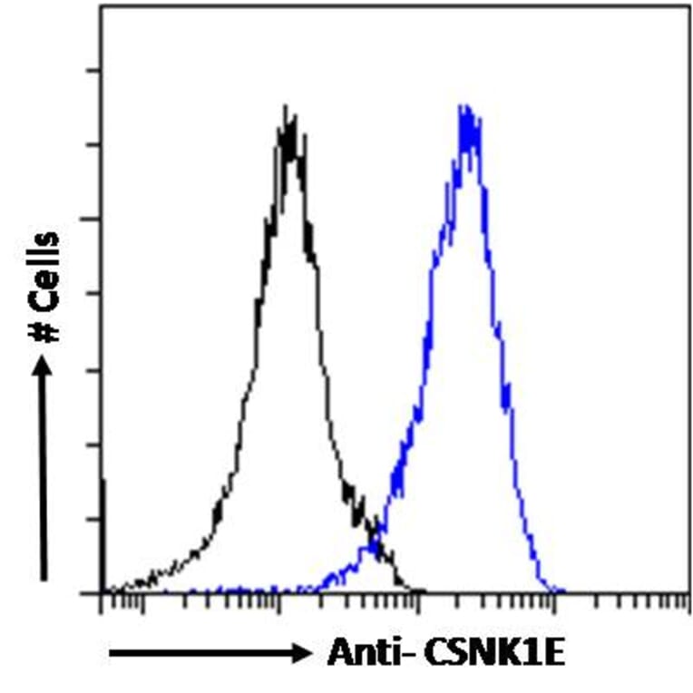 Flow Cytometry - Anti-CK1 epsilon Antibody (A83740) - Antibodies.com
