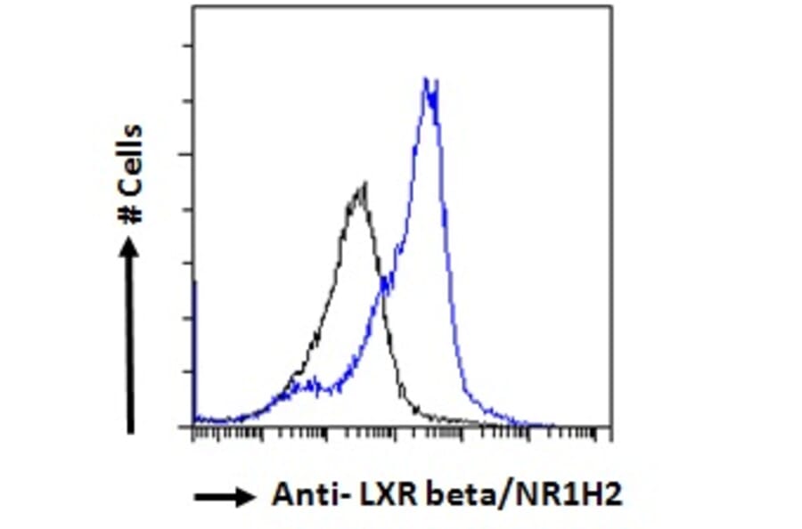 Flow Cytometry - Anti-LXR beta/NER Antibody (A83747) - Antibodies.com