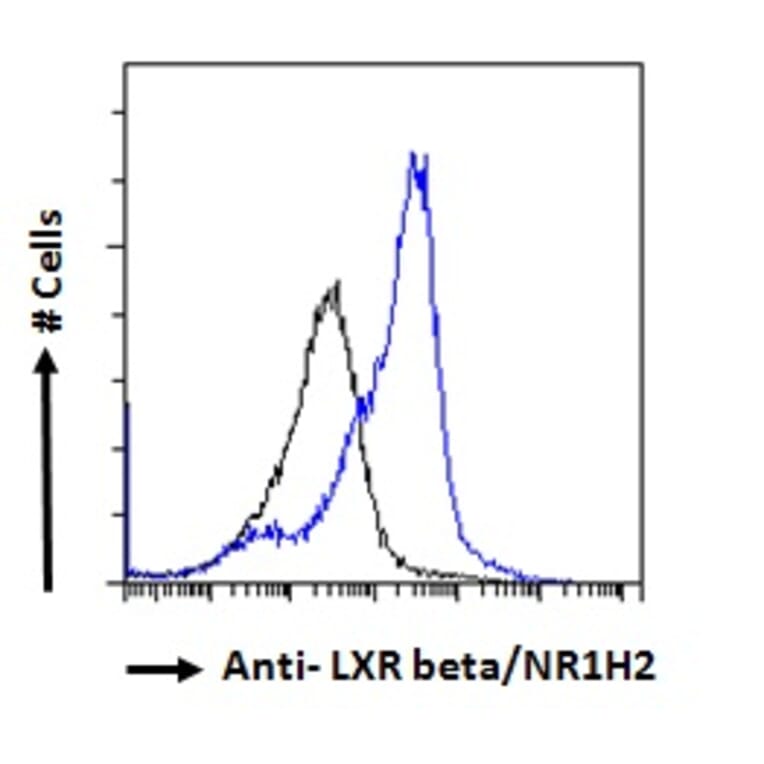 Flow Cytometry - Anti-LXR beta/NER Antibody (A83747) - Antibodies.com