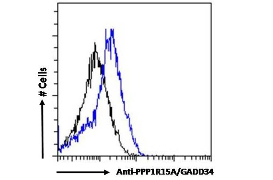 Flow Cytometry - Anti-GADD34 Antibody (A83758) - Antibodies.com
