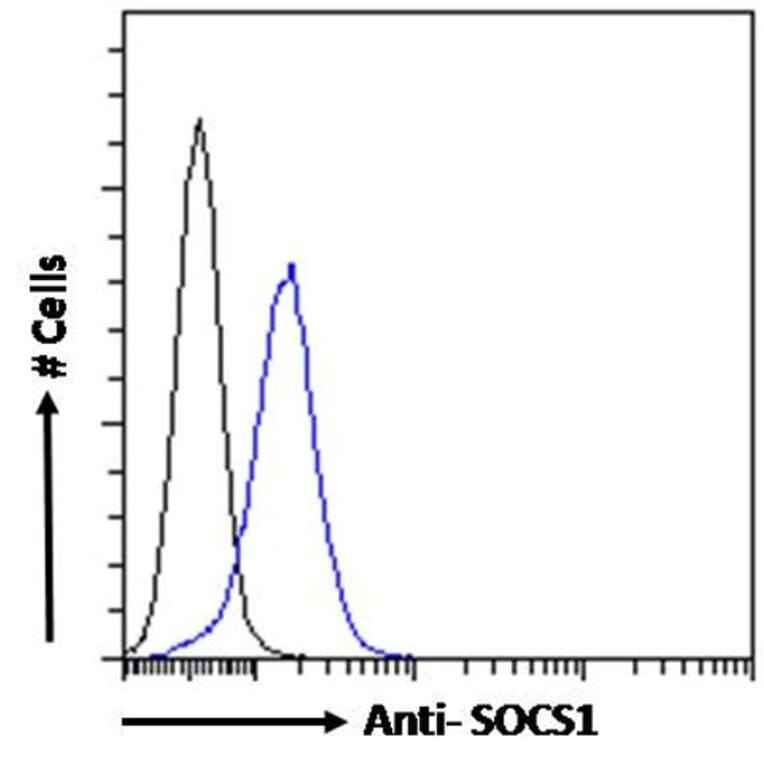 Flow Cytometry - Anti-SOCS1 Antibody (A83759) - Antibodies.com