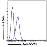 Flow Cytometry - Anti-SOCS1 Antibody (A83759) - Antibodies.com