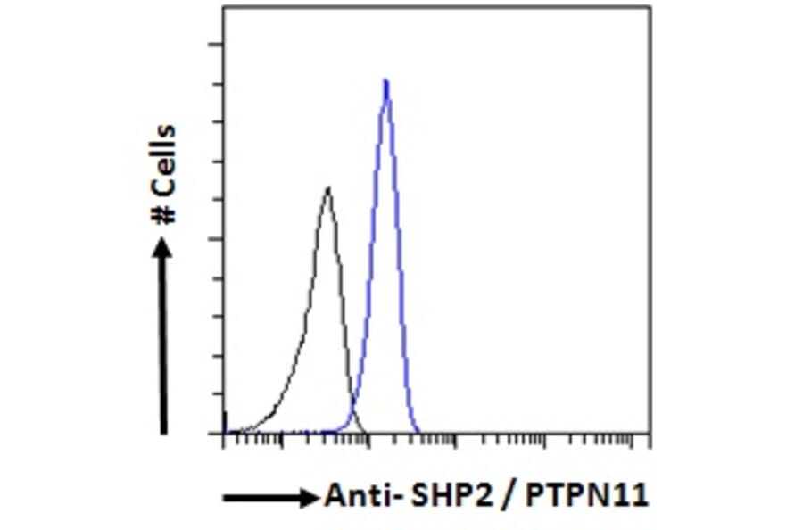 Flow Cytometry - Anti-SHP2 Antibody (A83775) - Antibodies.com