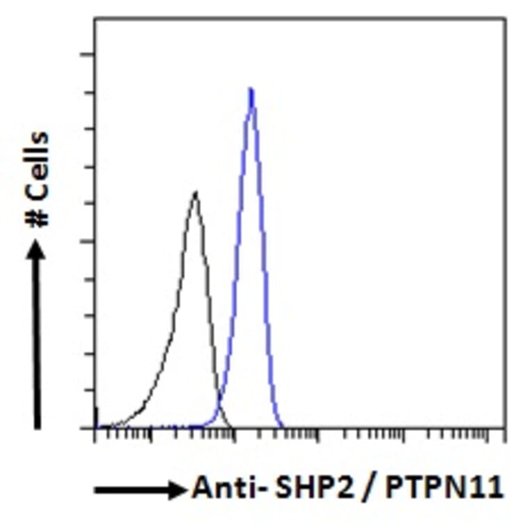 Flow Cytometry - Anti-SHP2 Antibody (A83775) - Antibodies.com