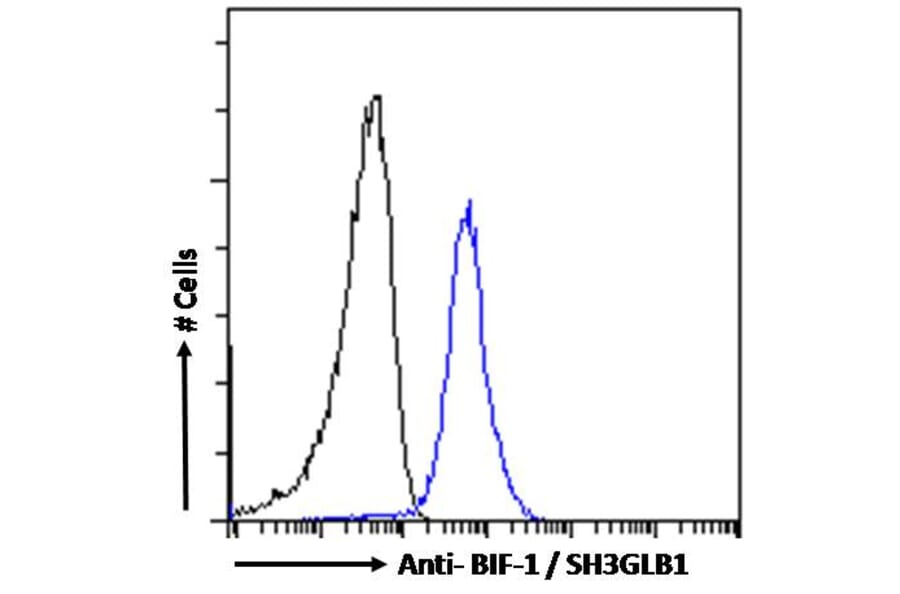 Flow Cytometry - Anti-Bif-1 Antibody (A83782) - Antibodies.com