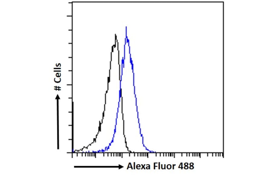 Flow Cytometry - Anti-MTMR9 Antibody (A83786) - Antibodies.com