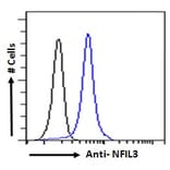 Flow Cytometry - Anti-NFIL3 Antibody (A83792) - Antibodies.com