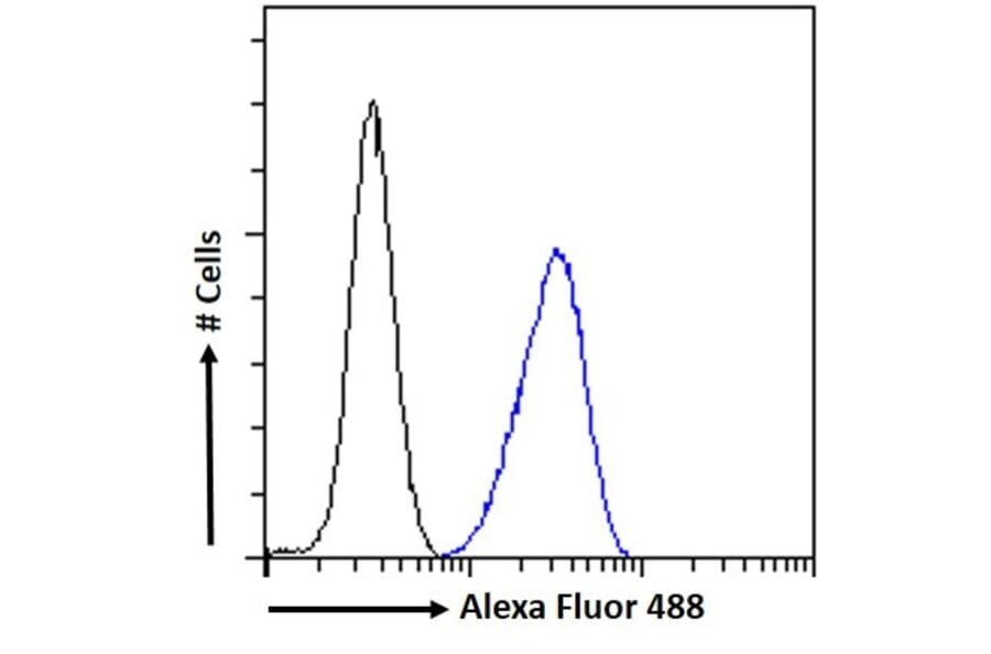 Flow Cytometry - Anti-CrkL Antibody (A83801) - Antibodies.com