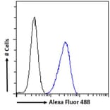 Flow Cytometry - Anti-CrkL Antibody (A83801) - Antibodies.com